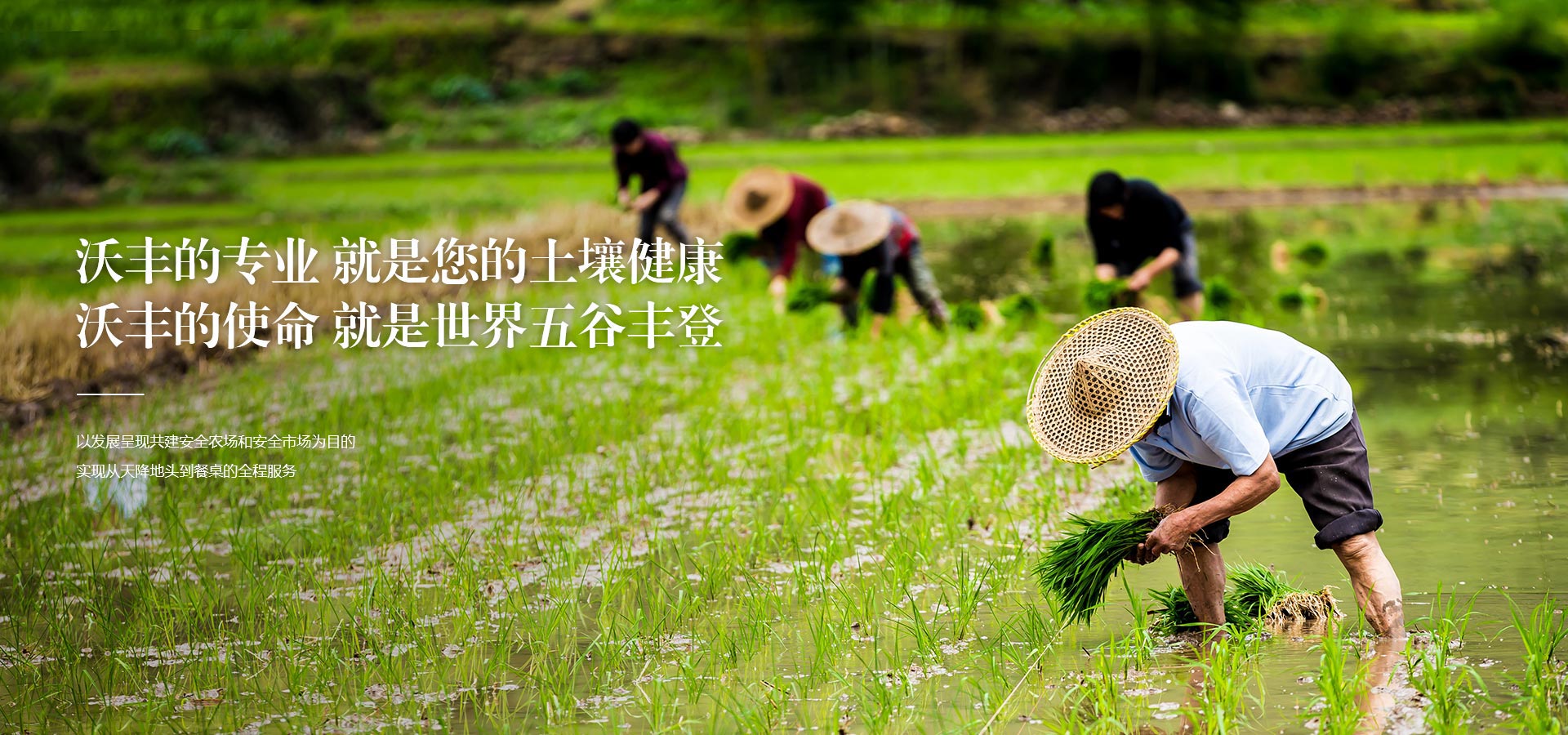 五原縣沃豐生物科技有限公司